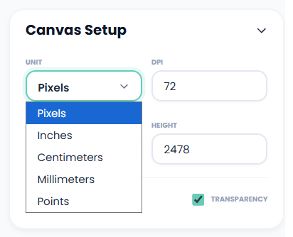 Photo resizer setting for canvas options for dimension units and dpi.